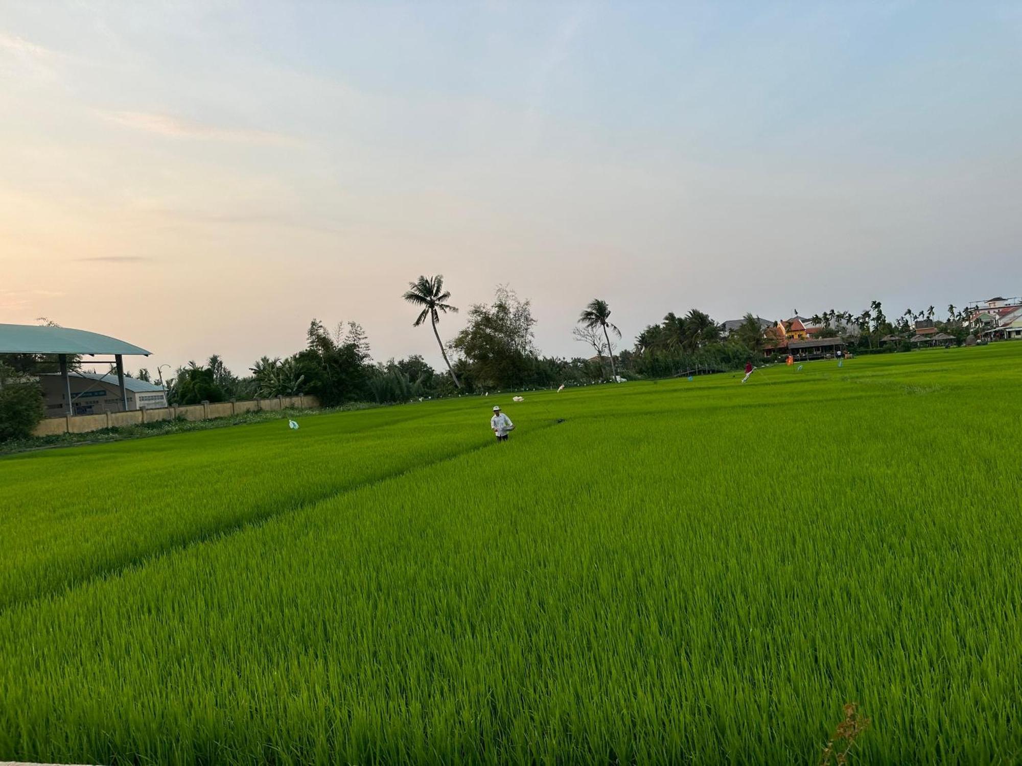 Water Palm Residence Hieu Nhon Exterior foto